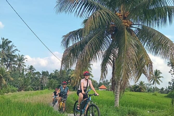 Ubud : Kintamani Downhill Cycling Tour with Lunch - Starting in Bayung Gede near Kintamani