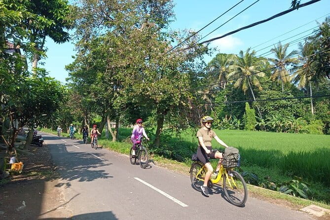Ubud : Kintamani Downhill Cycling Tour with Lunch - Pura Desa Malet Gusti and the cultural heart of the ride