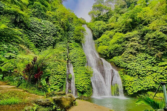 Ubud : Kintamani Downhill Cycling Tour with Lunch - Rice fields, quiet roads, and photo stops