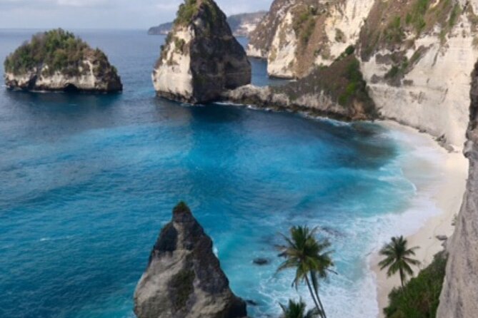 Ubud Kintamani Tour - The private format and service