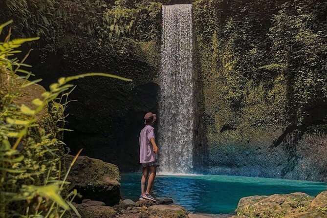 Ubud Monkey Forest, Holy Water Temple & Waterfalls Tours - Why this Ubud day works as a full-day sampler