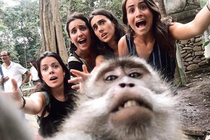 Ubud Monkey Forest, Holy Water Temple & Waterfalls Tours - What the $33.25 price really covers