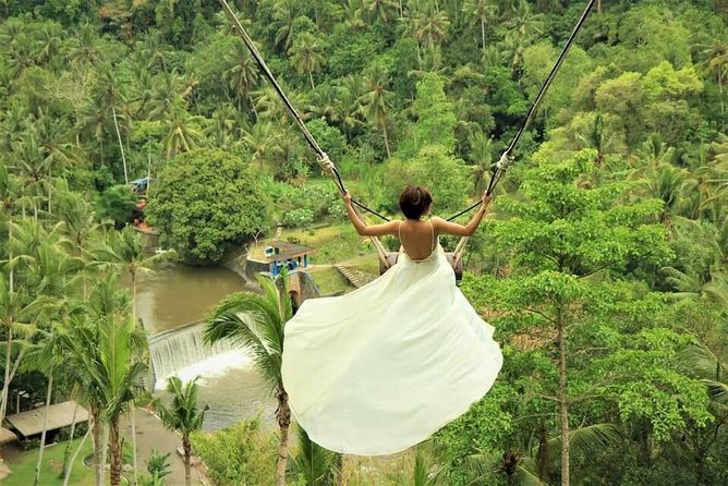 Ubud: Monkey Forest, Jungle Swing, Rice Terrace, and Water Temple - Why this private Ubud day works well
