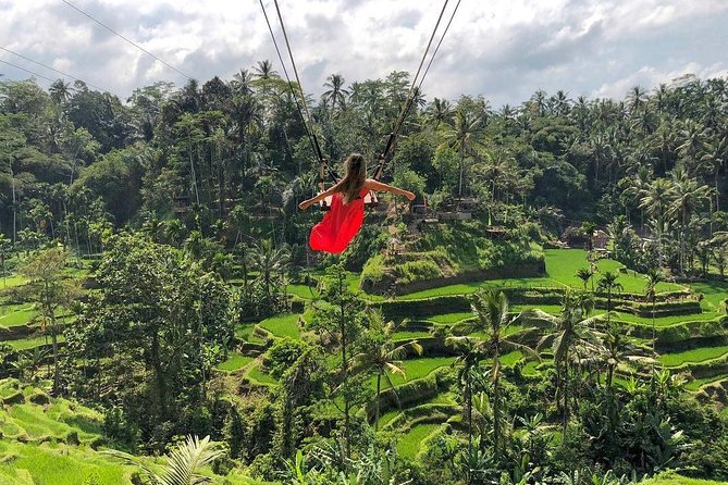 Ubud: Monkey Forest, Jungle Swing, Rice Terrace, and Water Temple - Sacred Monkey Forest: a shaded start in Ubud