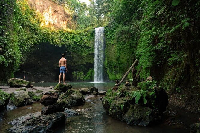 Ubud Monkey Forest Rice Terrace Temple Waterfall Private Tour - Understanding Tirta Empul’s holy spring