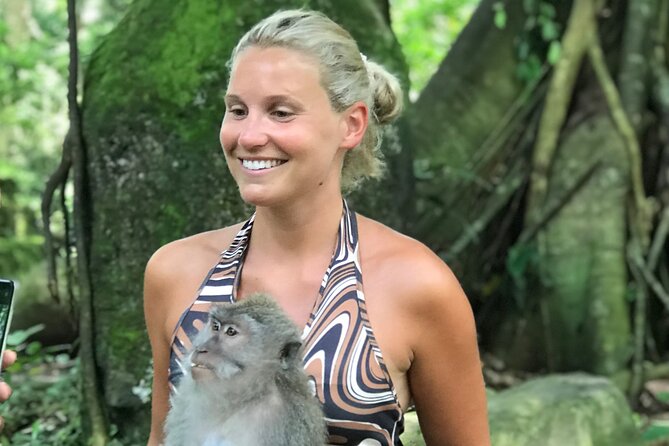Ubud : Monkey Forest, Rice Terrace, Waterfall, Swing - Tegalalang’s stepped rice fields