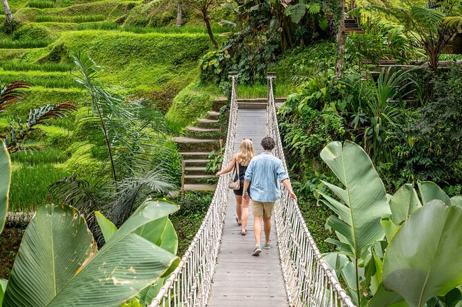 Ubud: Monkey Forest, Rice Terraces & Sacred Temples - Why this Ubud day works as a first look at Bali