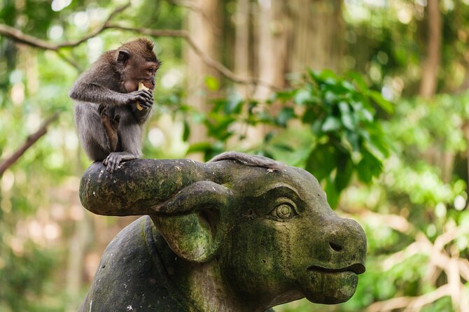 Ubud: Monkey Forest, Rice Terraces & Sacred Temples - Meeting the macaques at Sacred Monkey Forest