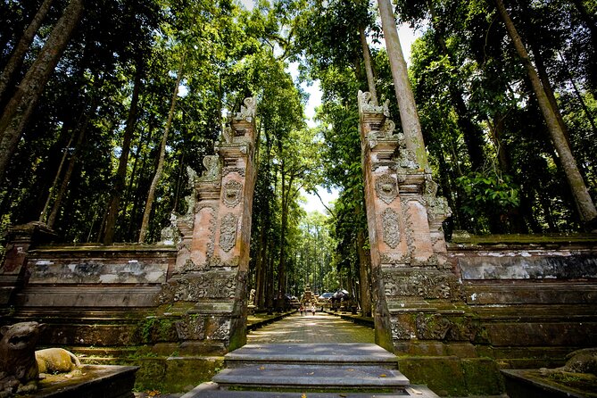 Ubud: Monkey Forest, Rice Terraces & Sacred Temples - Tegalalang’s rice terraces and the busiest stop