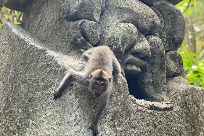 Ubud Monkey Forest Sanctuary Entrance Ticket All Inclusive - Entering Ubud’s forest of monkeys and temples