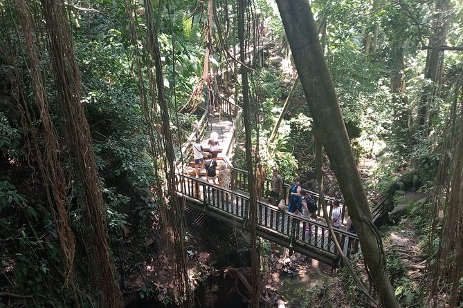Ubud Monkey Forest Sanctuary Entrance Ticket All Inclusive - Monkey photos, safety, and what to bring