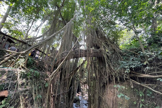 Ubud Monkey Forest Sanctuary Entrance Ticket All Inclusive - When to book and when to skip it