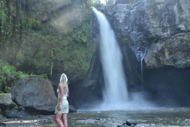 Ubud Monkey Forest Sanctuary Tours and Cretya - One hour at Sacred Monkey Forest Sanctuary