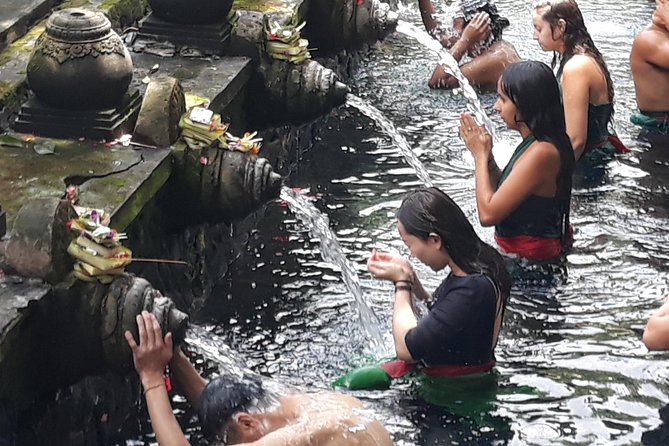 Ubud Natural Gems And Secret Waterfall Private Guided Tour - Tegalalang Rice Terrace: a short walk with big views