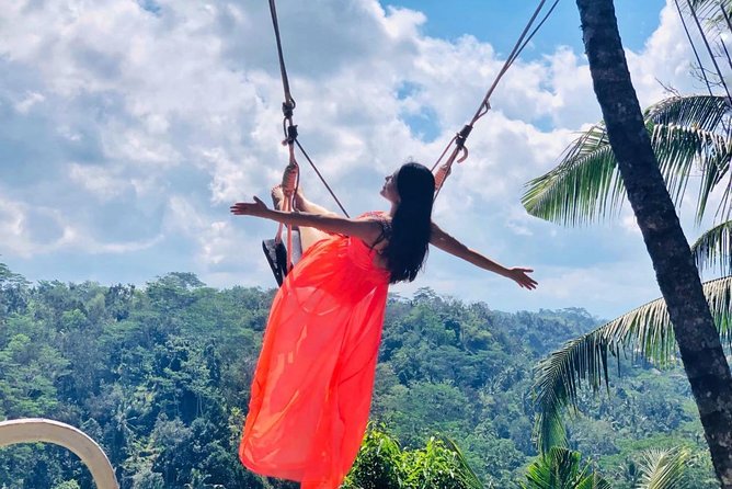Ubud Natural Gems And Secret Waterfall Private Guided Tour - Happy Swing Bali and the photo stop