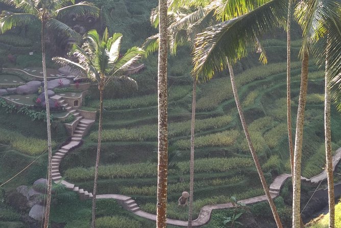 Ubud Private & Customize Day Tour - Monkey Forest and its mischievous residents