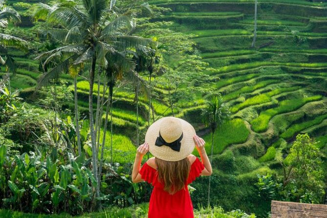 Ubud: Private Customized Highlights Tour - Rice terraces, caves, and ancient stonework
