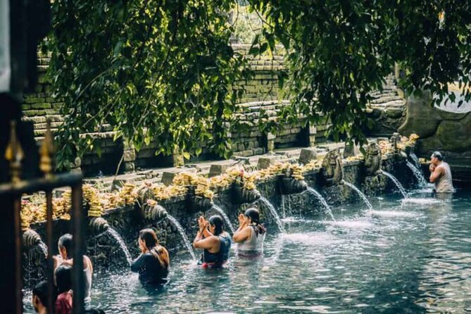 Ubud: Private Customized Highlights Tour - Art, craft, and the Balinese home