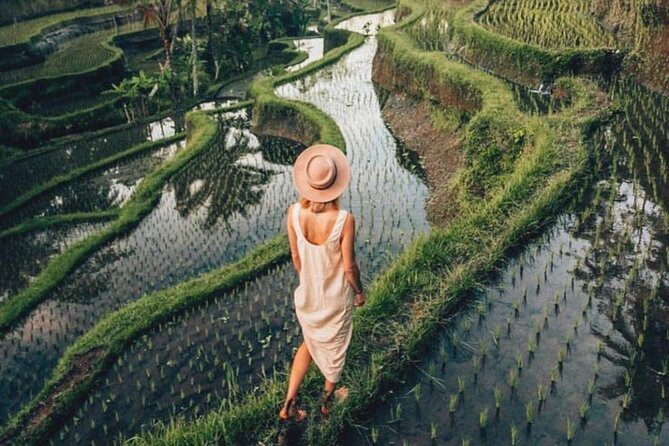 Ubud: Private Customized Highlights Tour - What the guide adds to the day