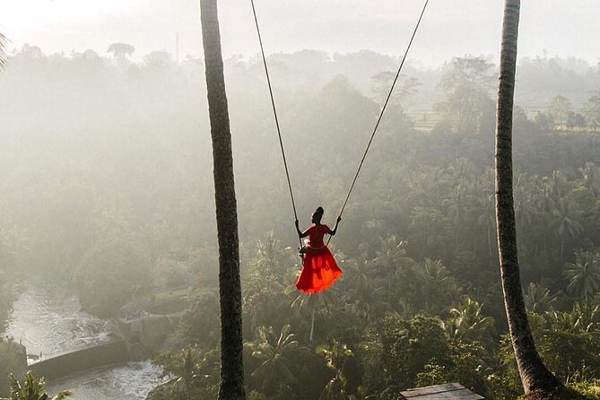 Ubud Private Full-Day Tour - A full day from Seminyak to Ubud