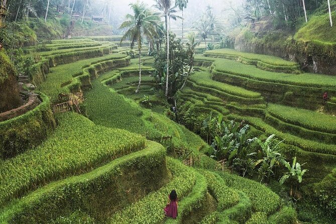 Ubud Private Full-Day Tour - My Swing Bali: photo stop with a price attached