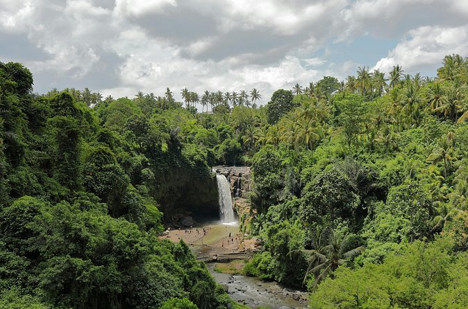 Ubud Private Nature and Temple Tour - What the $30.55 price really covers