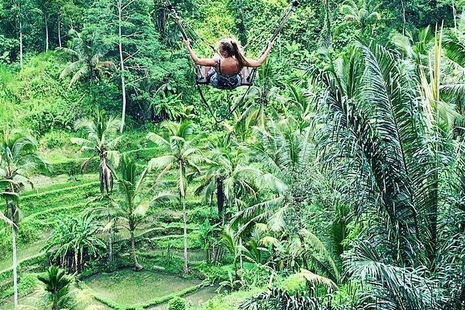 Ubud Private Tour - Monkey Forest, where Ubud begins with a jolt