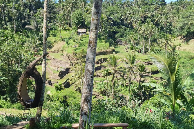 Ubud Private Tour - Kumulilir and the coffee plantation stop