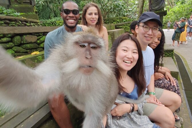 Ubud Private Tour - The driver-guide and private format