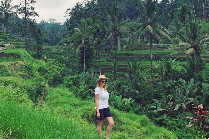 Ubud Private Tour : Best Of Ubud - Guided Tour - Reading the terraces at Tegalalang