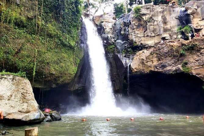 Ubud Private Tour : Best Of Ubud - Guided Tour - The d’Alas Swing and a jungle view