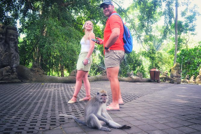 Ubud Private Tour : Choice Your Own Trip - Tegalalang Rice Terrace and the Working Countryside