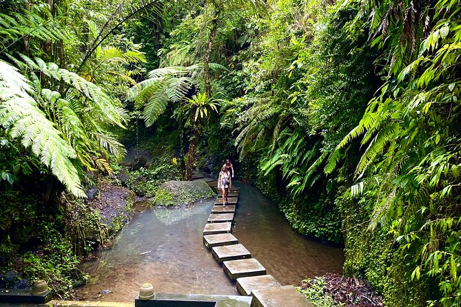 Ubud Private Tour: Monkey Forest, Rice Terrace, Temple, Waterfall - Tirta Empul and the meaning of holy water