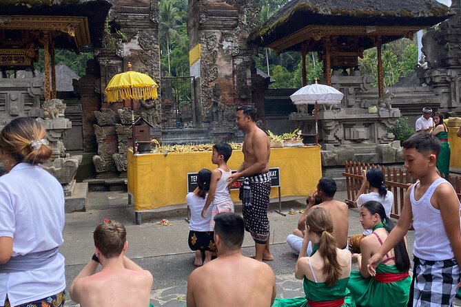 Ubud Private Tour: Monkey Forest, Rice Terrace, Temple, Waterfall - The vehicle, guide, and road time