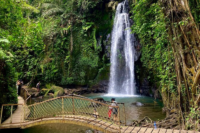 Ubud Private Tour: Monkey Forest, Rice Terrace, Temple, Waterfall - Is $27 good value for this day?
