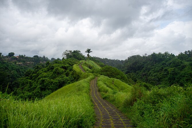 Ubud Private Tour: Monkey Forest - Tirta Empul Temple - Tirta Empul Temple and the holy spring