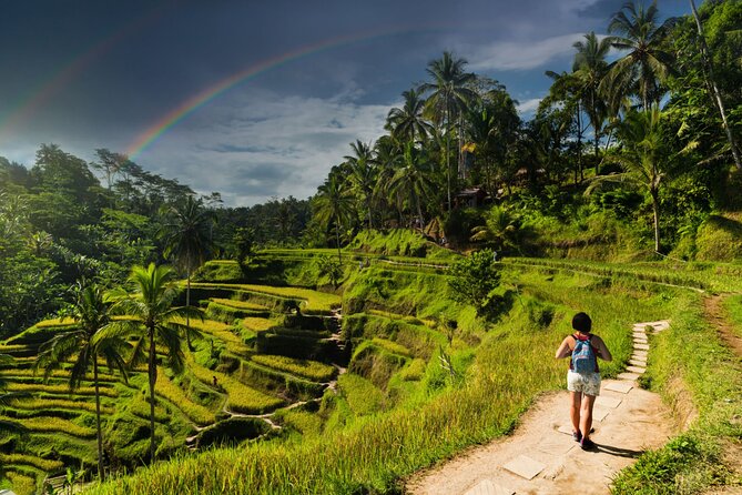 Ubud Private Tour: Monkey Forest - Tirta Empul Temple - Gianyar Street Night Market for the final meal