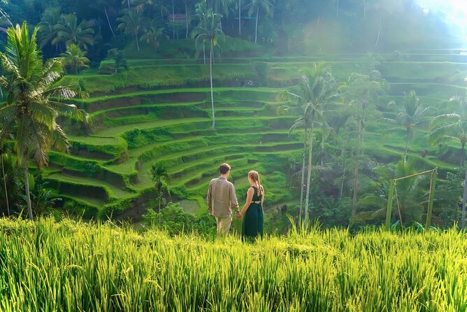 UBUD Private Tour – Rice Terrace, Jungle Swing & Hidden Waterfall - Why this Ubud tour works well for a first day