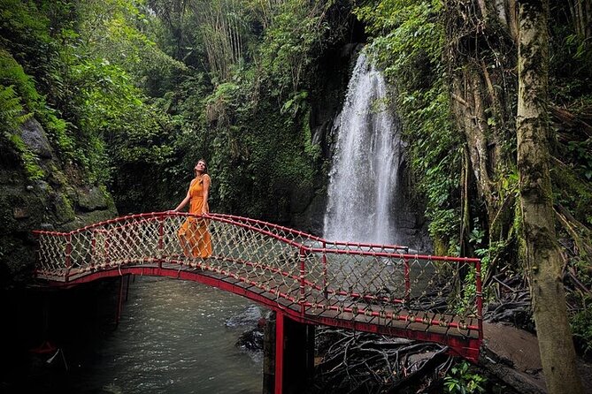UBUD Private Tour – Rice Terrace, Jungle Swing & Hidden Waterfall - Coffee, herbal teas, and the luwak question