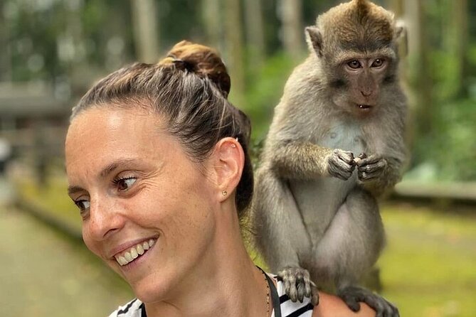 UBUD Private Tour – Rice Terrace, Jungle Swing & Hidden Waterfall - Tirta Empul or Sacred Monkey Forest