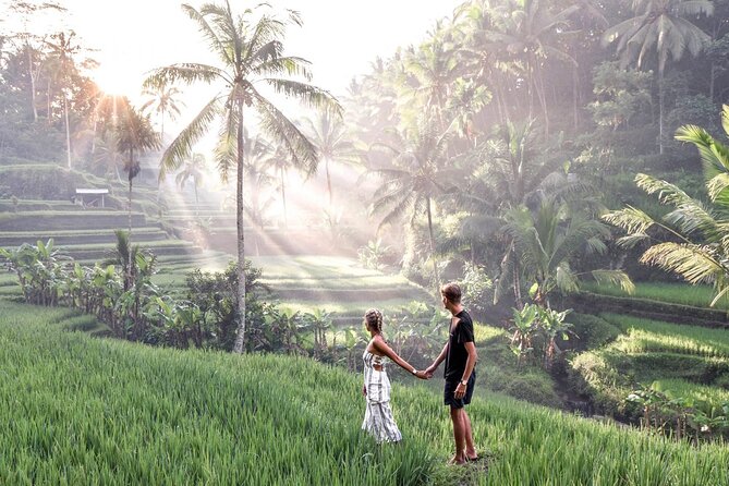 Ubud Private Tour : Ubud Temple and Authentic of Ubud - Tegenungan Waterfall for a scenic break