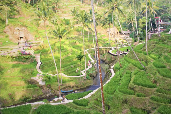 Ubud Private Tour : Ubud Temple and Authentic of Ubud - Barong and fire dance at Sahadewa