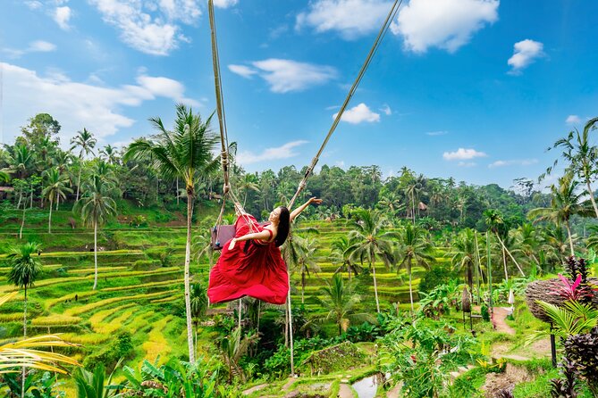 Ubud Private Tour: Waterfalls, Temple and Rice Terraces Swing - Key points at a glance
