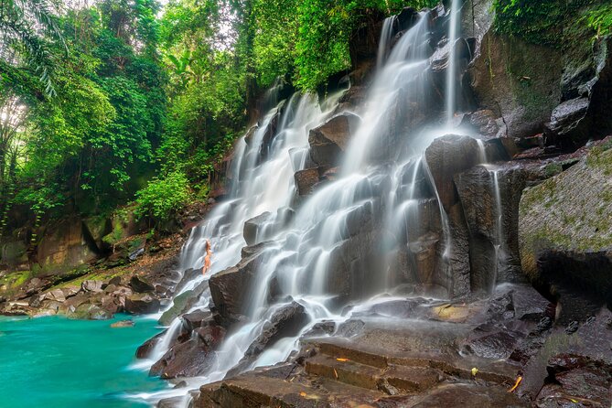Ubud Private Tour: Waterfalls, Temple and Rice Terraces Swing - Tirta Empul, Bali’s holy water temple