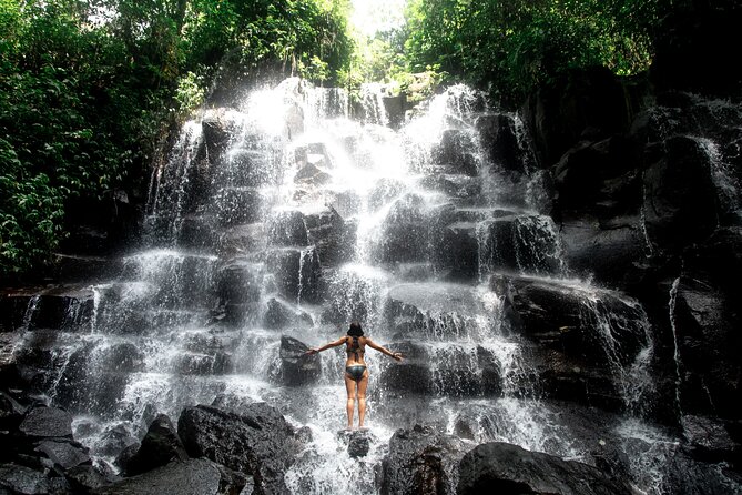 Ubud Private Tour: Waterfalls, Temple and Rice Terraces Swing - What the private guide adds