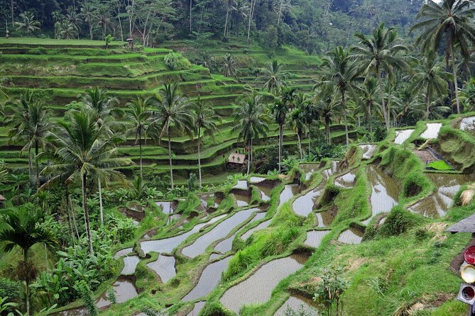 Ubud private tours - Wood carving and batik in a 20-minute craft stop