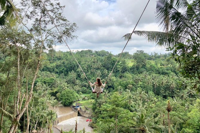 Ubud Private Tours with Jungle Swing Experience - all inclusive - Sangeh Monkey Forest adds trees and animals