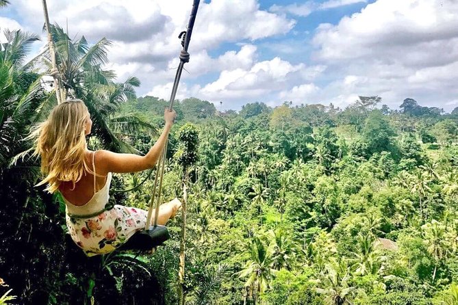 Ubud Sightseeing, Holy Water Temple & Waterfall - A Compact Way to See Ubud’s Famous Sights