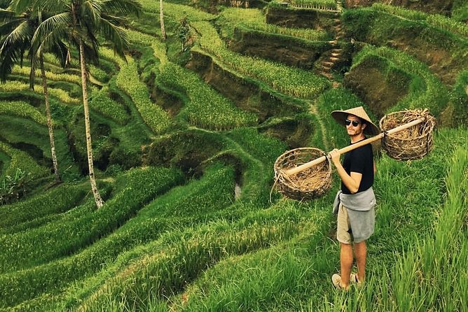 Ubud Sightseeing, Holy Water Temple & Waterfall - Tegenungan Waterfall: Scenic, Short, and Easy to Pair With Other Stops
