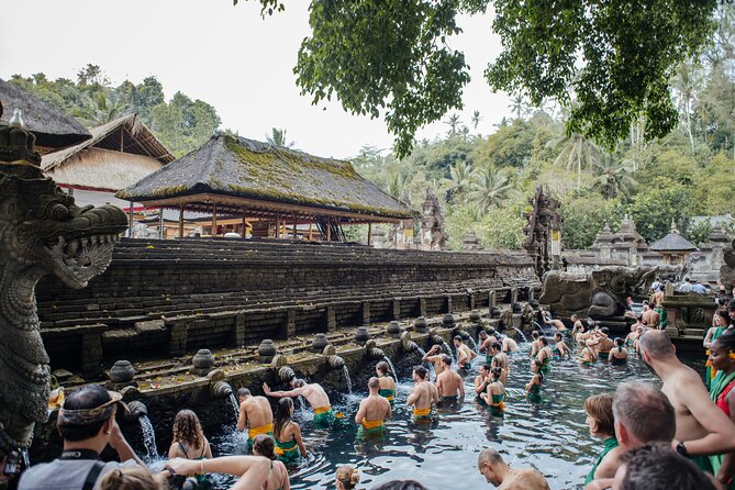 Ubud Small Group Tour: Monkey Forest, Tegalalang Rice Terraces and more - A useful first look at Ubud in one day